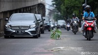 Keberadaan tanaman tersebut membuat para pengendara mobil maupun motor tak melintasi bagian tengah jalan yang dipasangan tanaman agar terhindar dari jalan yang berlubang.