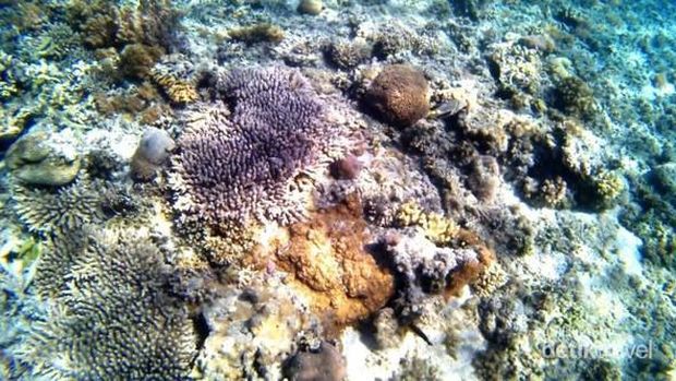 Gili Kondo Lombok Timur