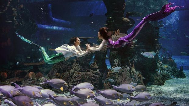 Mermaid di Jakarta Aquarium.