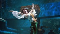 Selain kepuasan batin dikelilingi satwa akuatik, putri duyung Nikita juga senang akan apresiasi penonton (dok Jakarta Aquarium)