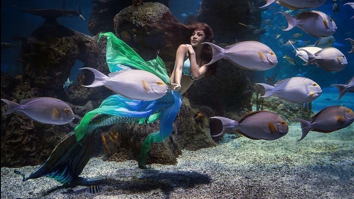 Mermaid di Jakarta Aquarium.