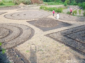 Cuma di Klaten Ada Kebun Sayur Bermotif Batik