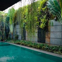 Kolam renang Rossa yang terasa asri dengan lanskap bergaya industrial. (Foto: YouTube/BoyWilliam)