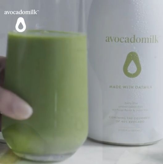 Susu Terbuat dari Alpukat