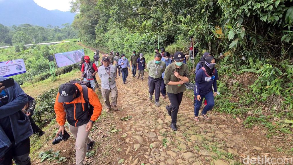 Acara melepasliarkan elang di TNGHS