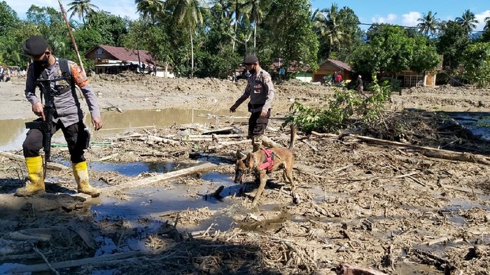 Polisi menerjunkan anjing pelacak untuk membantu pencarian korban banjir bandang di Luwu Utara, Sulsel.
