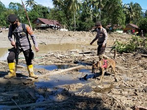 Polisi Kerahkan Anjing Pelacak Bantu Cari Korban Banjir di Luwu Utara