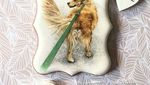 Gemas! 10 Cookies Jahe Bermotif Bunga hingga Kucing Lucu
