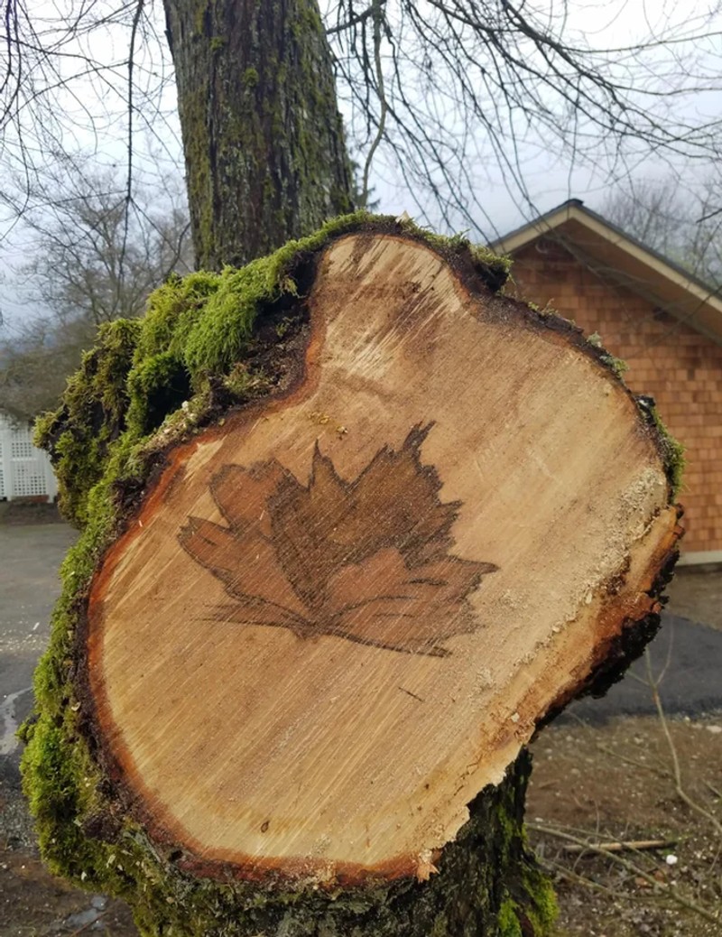 foto satisfying manjakan mata