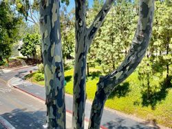 Kumpulan Foto Satisfying yang Manjakan Mata