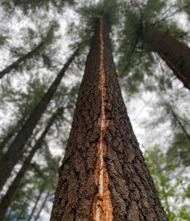 foto satisfying manjakan mata