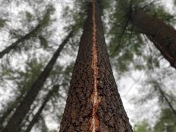 Kumpulan Foto Satisfying yang Manjakan Mata