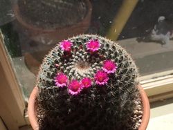 Kumpulan Foto Satisfying yang Manjakan Mata