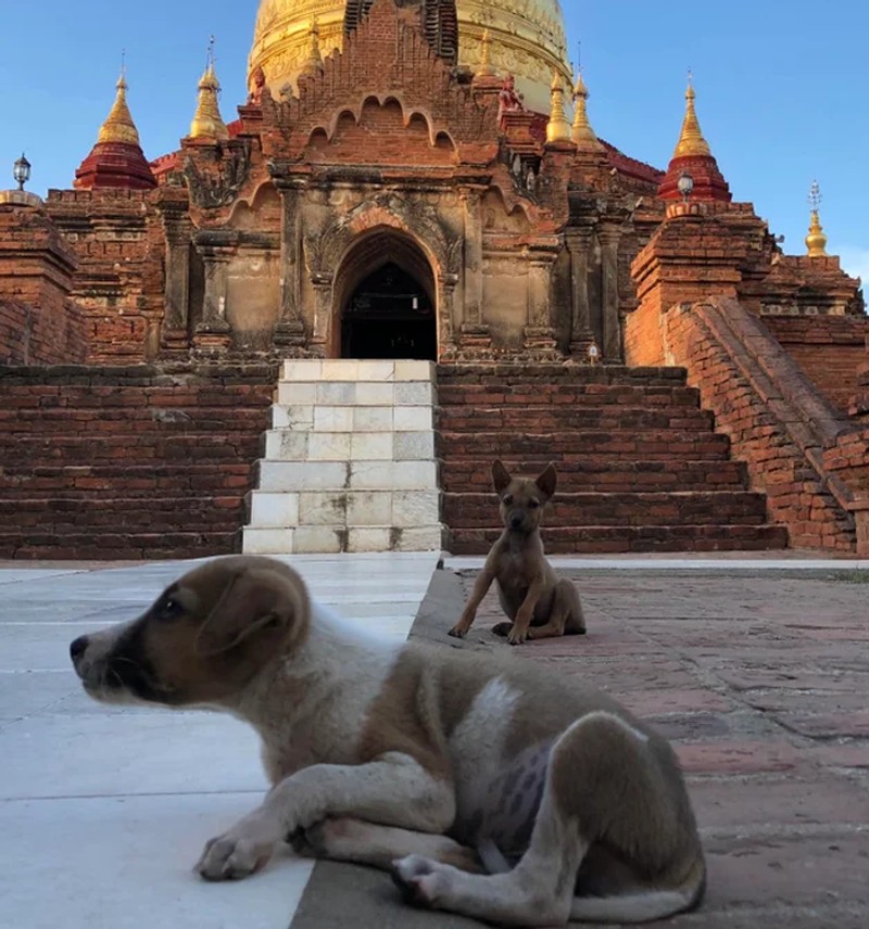 foto satisfying manjakan mata