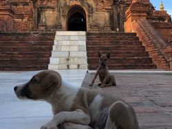 Kumpulan Foto Satisfying yang Manjakan Mata