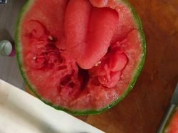 Kumpulan Foto Satisfying yang Manjakan Mata