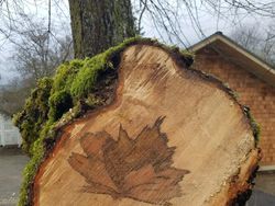 Kumpulan Foto Satisfying yang Manjakan Mata