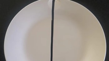 Saya menjatuhkan piring hasilnya terbelah dua dengan garis sempurna Foto: Boredpanda