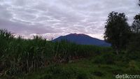 Asap Gunung Raung Pasca Erupsi Berpotensi Ganggu Penerbangan