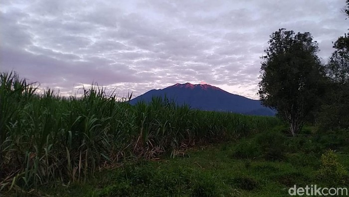 Gunung Raung Erupsi Skala Kecil, Selama 24 Jam Terjadi 60 Kali Letusan Kecil