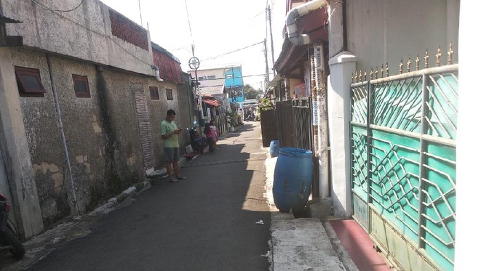 Heboh! Penampakan Seekor Babi Jalan-jalan di Tarumanegara Depok