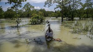 India Tembus 1 Juta Kasus Corona di Tengah Terjangan Banjir