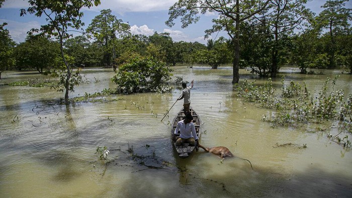 India Floods Indian flood affected people ride on boats near their partially submerged houses along river Brahmaputra in Morigaon district, Assam, India, Thursday, July 16, 2020. Floods and landslides triggered by heavy monsoon rains have killed dozens of people in this northeastern region. (AP Photo/Anupam Nath)
