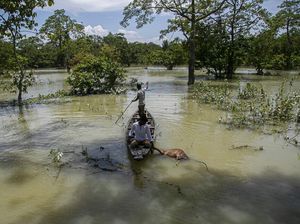 India Tembus 1 Juta Kasus Corona di Tengah Terjangan Banjir