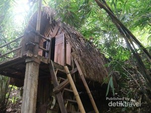 Banyuwangi Punya Kampung Primitif, Seperti di Pedalaman