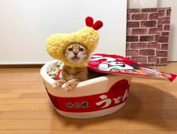 Kibimomo