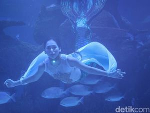 Tantangan Peran Jadi Putri Duyung: Akting dan Menari di Dalam Air