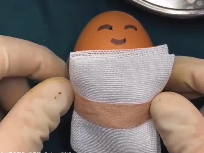 membedah telur membedah telur