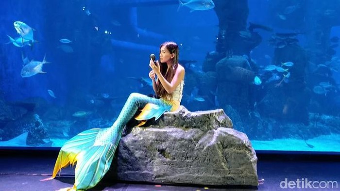 Mermaid