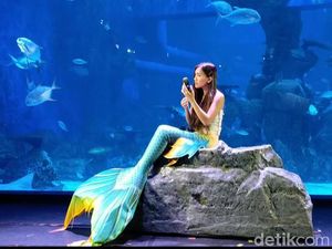 Mengintip Putri Duyung Sebelum Mentas di Jakarta Aquarium