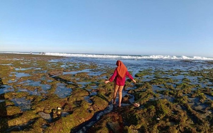 Pantai Sepanjang