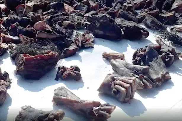 Pasar di India Jual Daging Anjing
