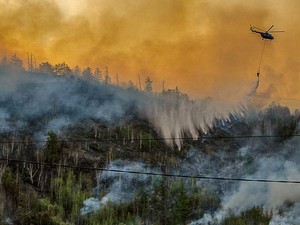 Siberia Alami Fenomena Iklim Baru, Dipicu Dampak Aktivitas Manusia