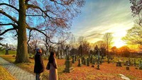 Berminat? (The Green-Wood Cemetery)