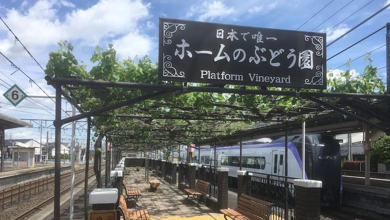 Uniknya Kebun Anggur di Stasiun Kereta Jepang Uniknya Kebun Anggur di Stasiun Kereta Jepang