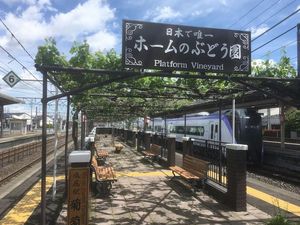 Uniknya Kebun Anggur di Stasiun Kereta Jepang