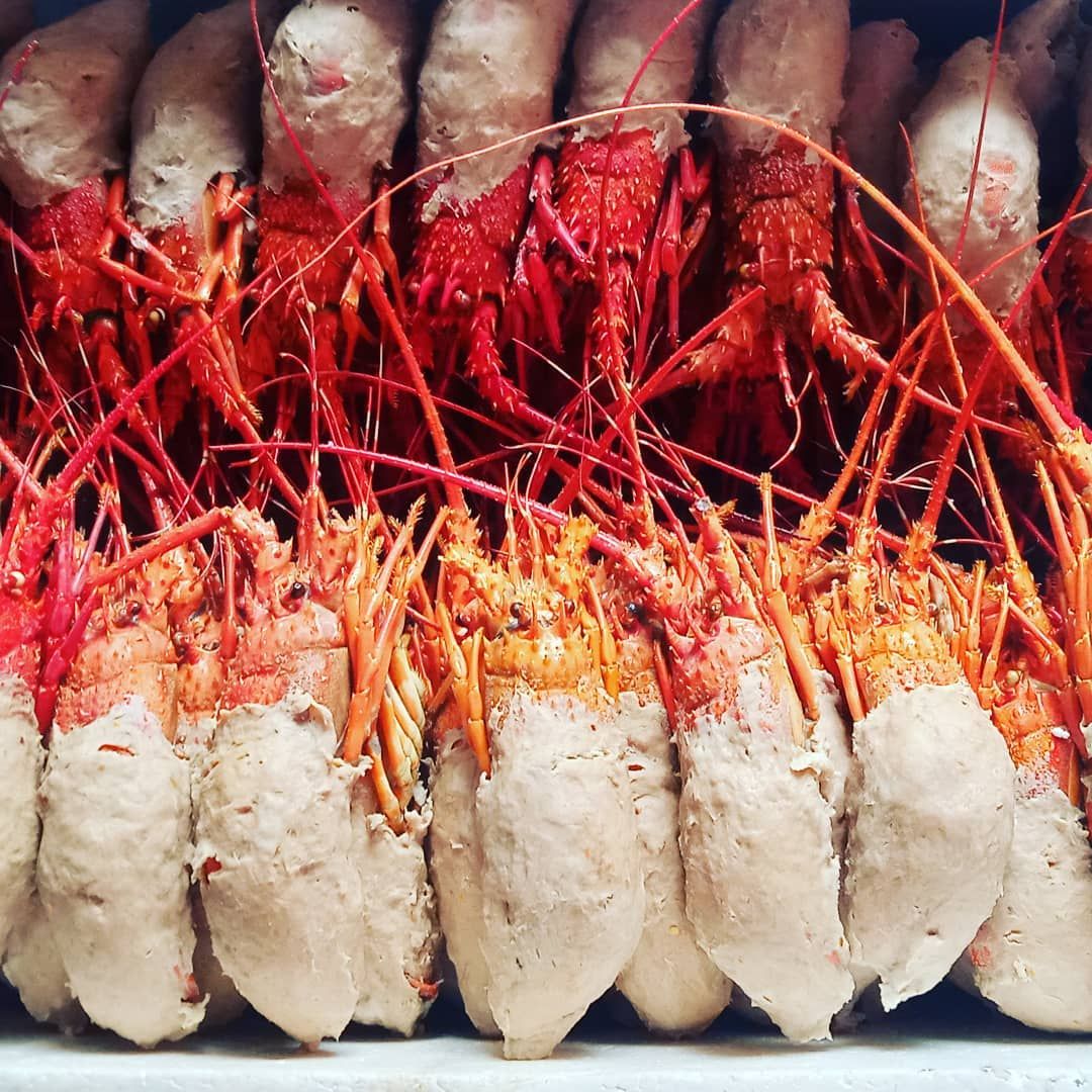 bakso lobster