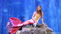 Pertama ada mermaid Nikita yang tampil khas dengan kostum duyung berwarna merah.