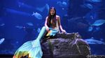 Bikin Meleleh! Kenalan Yuk dengan Dua Putri Duyung Cantik Ini