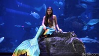 Selanjutnya ada mermaid Pia dengan kostum khas berwarna hijau.
