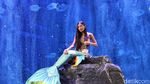Bikin Meleleh! Kenalan Yuk dengan Dua Putri Duyung Cantik Ini