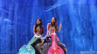 Setelah siap memakai kostum mermaid, ditambah dengan diving fins agar mudah untuk berenang, meremaid pun mengenakan make up agar terlihat lebih cantik saat di dalam air. Setelah itu, mermaid pun siap menghibur pengunjung.