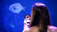 Hal ini penting dilakukan karena mermaid akan berada di dalam air dalam waktu yang cukup lama.