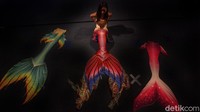 Setelah stretching, mermaid harus memakai kostum yang sangat sempit.