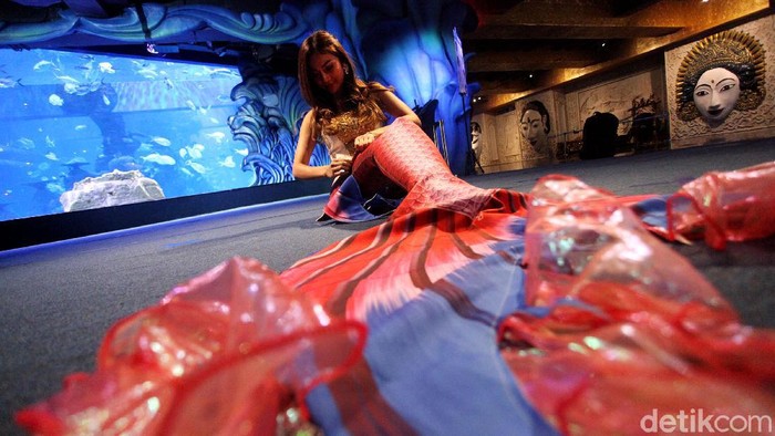 Di Bali Layar Pesona Putri Duyung yang Mempesona di Ibu Kota Kisah dalam dongeng kini menjadi kenyataan dan bisa disaksikan di Jakarta Aquarium. Namun, belum banyak yang tahu seperti apa kisahnya dari balik layar.