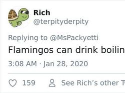 Fakta Unik dari Cuitan Netizen, Yakin Tahu Semua?